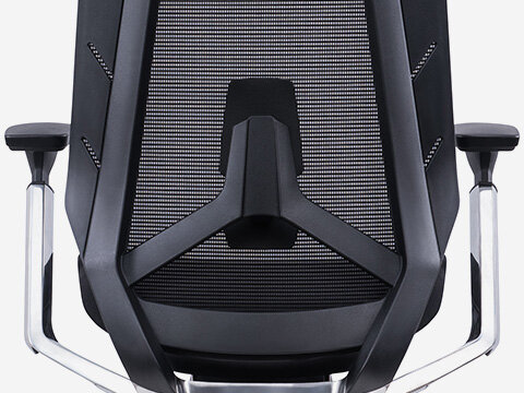 Soporte lumbar