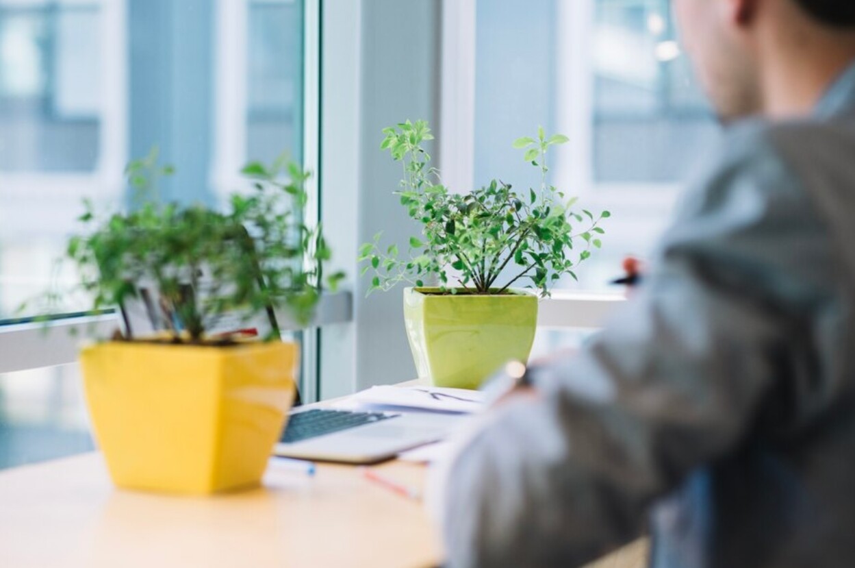 trabajador agr&iacute;cola trabajando cerca de plantas en un escritorio de oficina